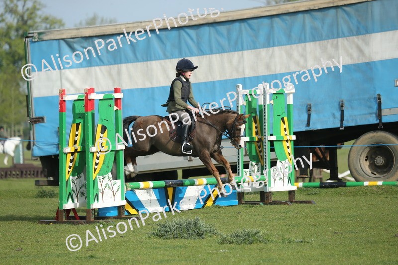20260426-0038 - Class 13 - Rookie Jumping 50cm