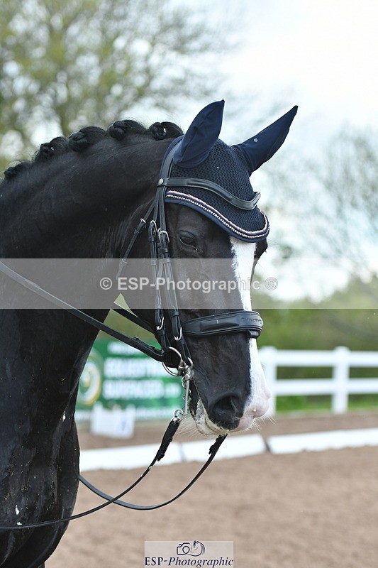 230511A-162754-01381 - BD Cls 18 FEI PSG