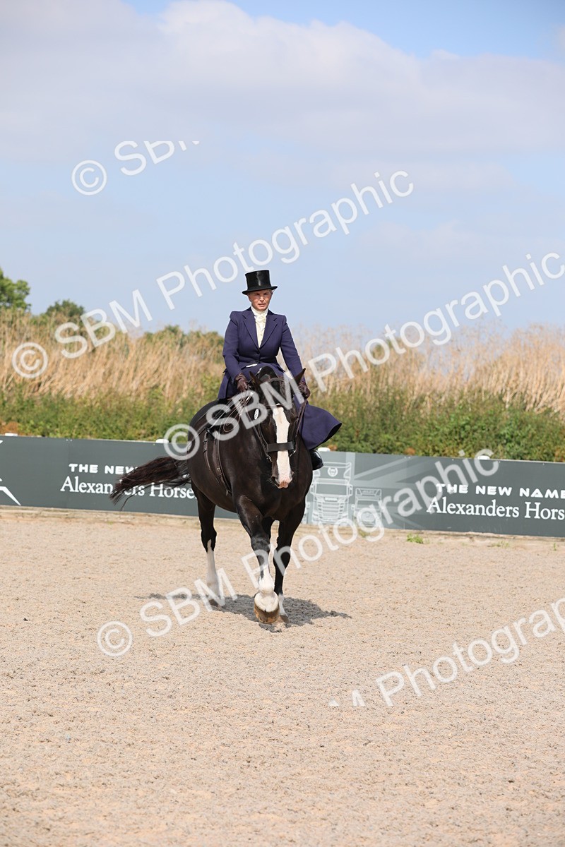 SBM_14536 - Class 211 Best Side Saddle Horse/Pony