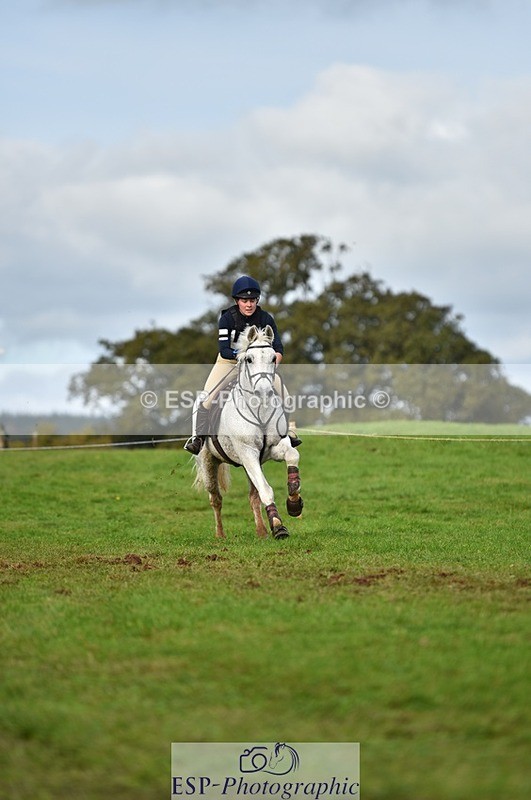 231021-133952-18455 - 457-KILLOUGHTER.GOLD.DUST-Olivia.McDonald-SC+XC