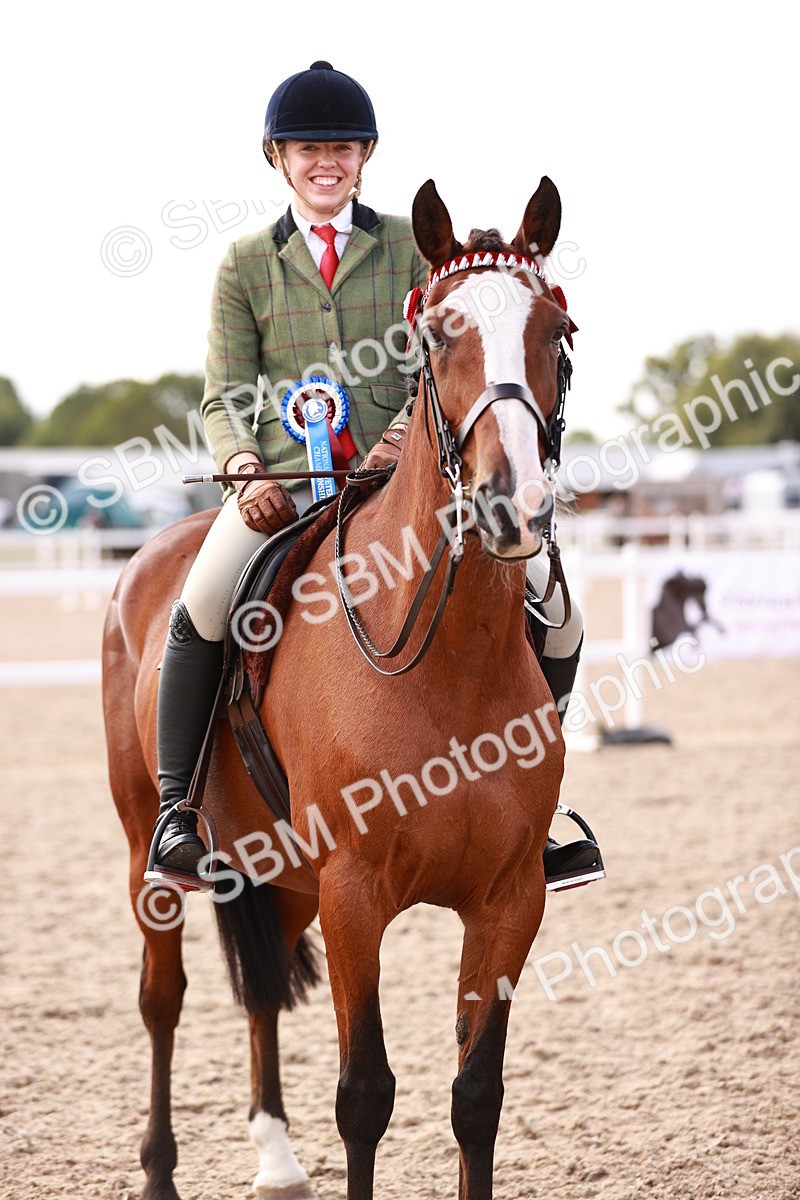 SBM_14489 - Class 410 - Grassroots Ridden - Horse