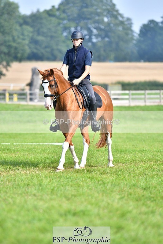 230817-093537-02601 - Abbie's 1st Group - Dressage