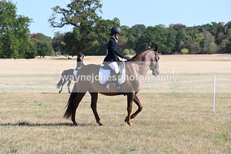 WJ6_7204 - Class 33 Rescue Pony