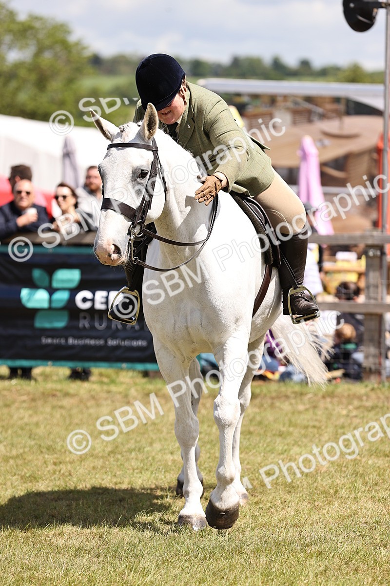 SBM_14756 - Class 88-89 - LIHS BSHA Rising Star of Ridden Hunter Type