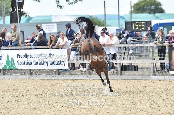 BPP_0307 - RHS 2019 Selection - *Just some random spectator shots so Lucky Dip if you are there!