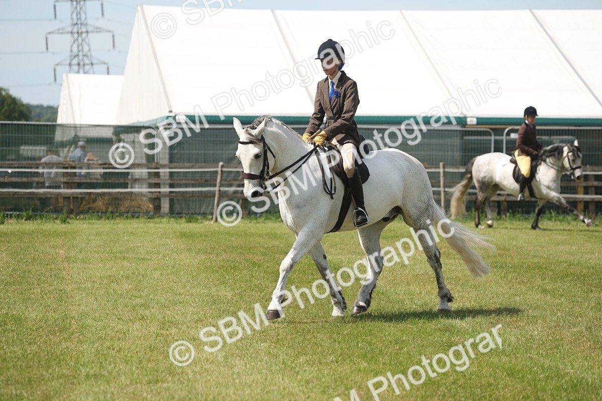 SBM_07605 - Class 26-30 - Mountain and Moorland Ridden