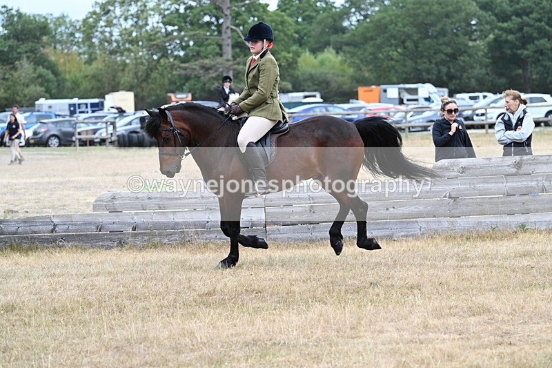 WJ7_0633 - Class 6 Ridden Mountain and Moorland