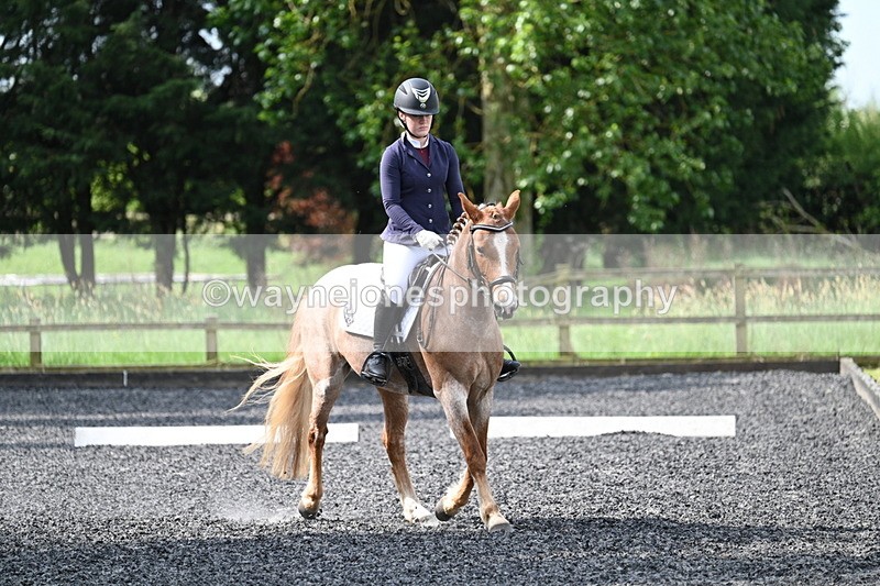 WJ7_8071 - Time 10:11 to 10:27