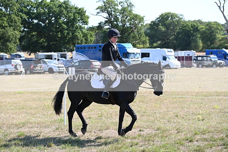 WJ6_7526 - Class 34 Judges Choice