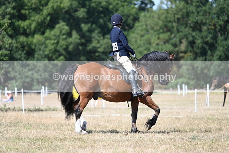 WJ7_0738 - Time 12:03 to 12:23