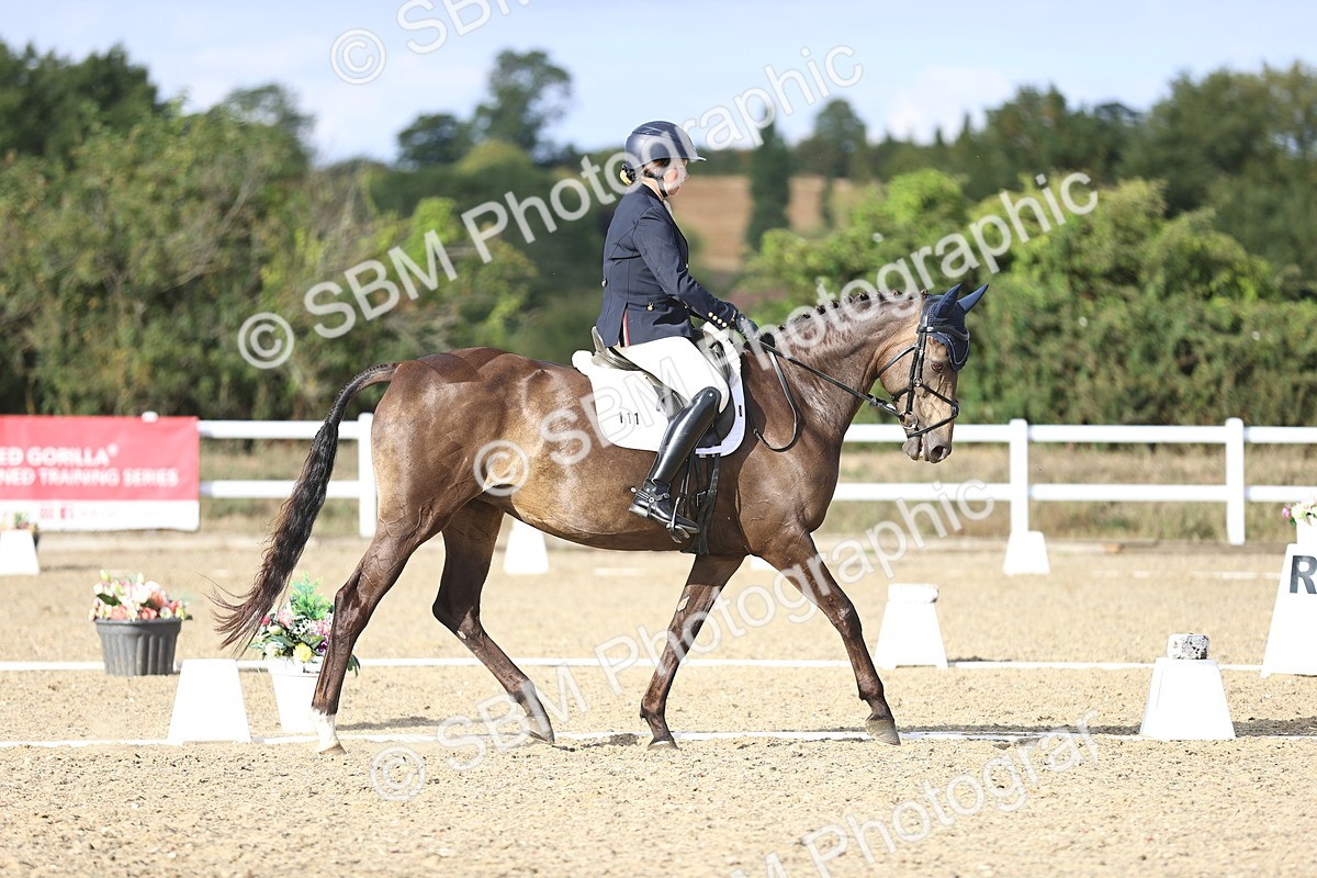 SBM_016109 - Class 5 - E5 Bronze  16.18.17.22