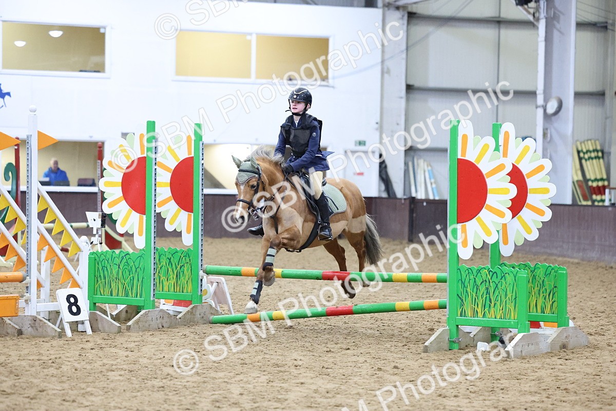 SBM_000998 - Class 3 - Christmas Tree Stakes - 60cm