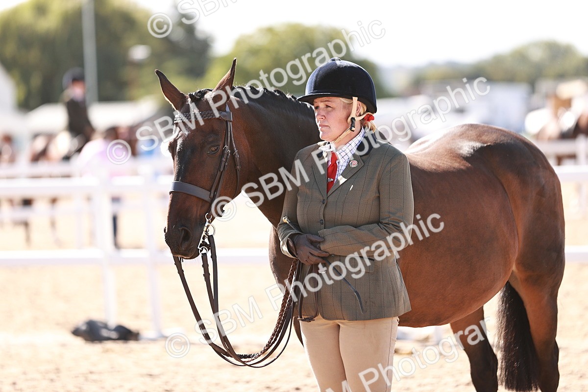 SBM_13340 - class 406 - IH Hunter