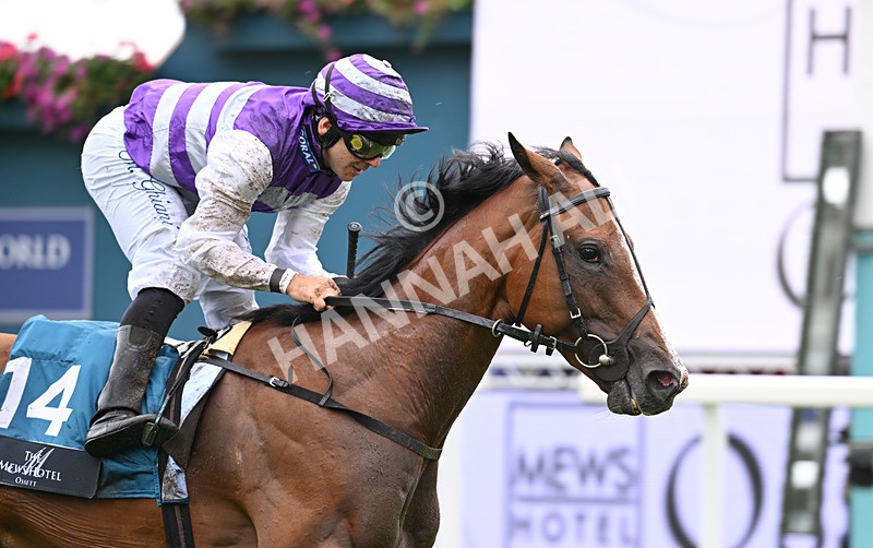 200826-171 Mia Fantasia - Race 6 16.45pm Mews Hotel Ossett EBF Stallions Nursery Handicap