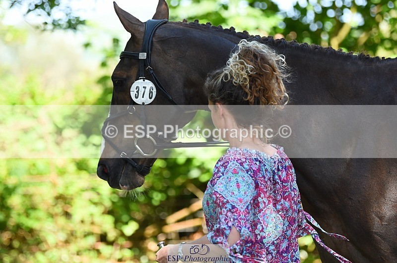 230524-154300-00454 - 376-DIRECT_BALLYTARSNA_DUCAREL-Jodie_Amos-WEDTrotUp+DR