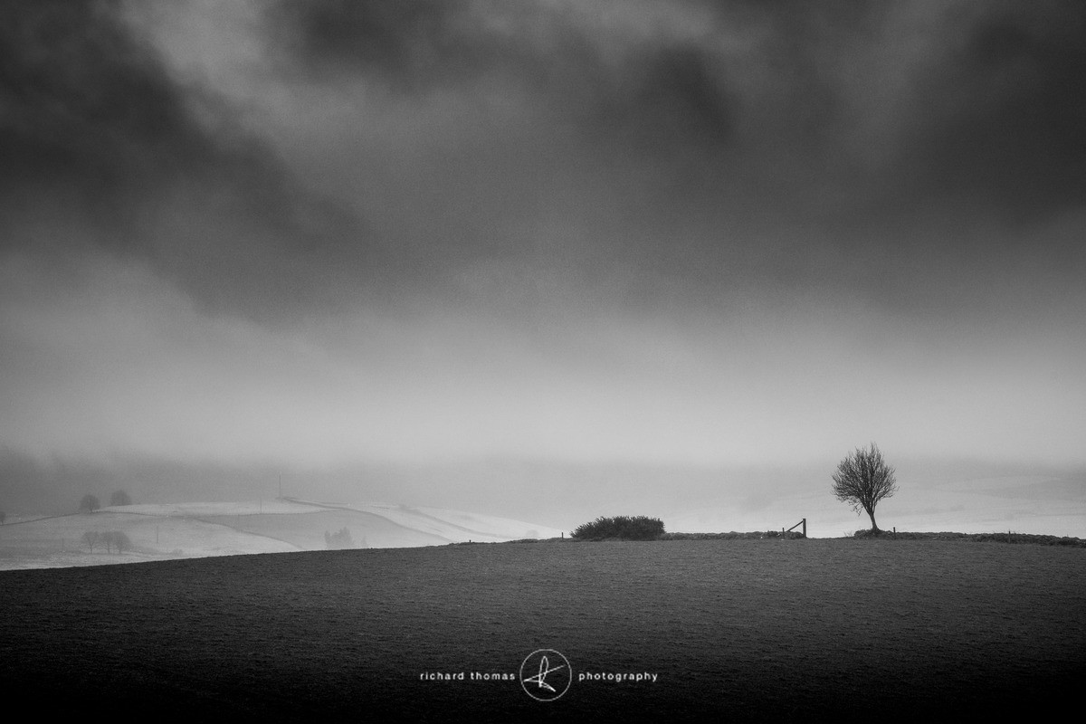 Low cloud above Betws-y-coed - Mono Mist Trees