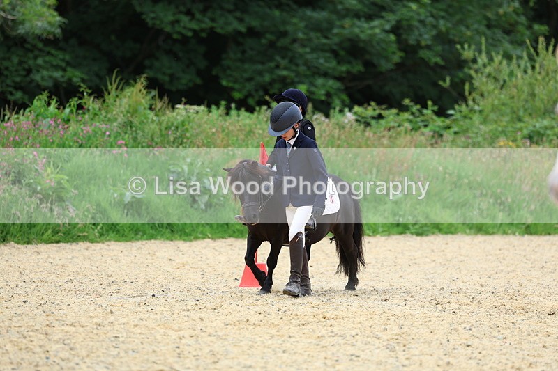 3E7A9508 - Walk trot run