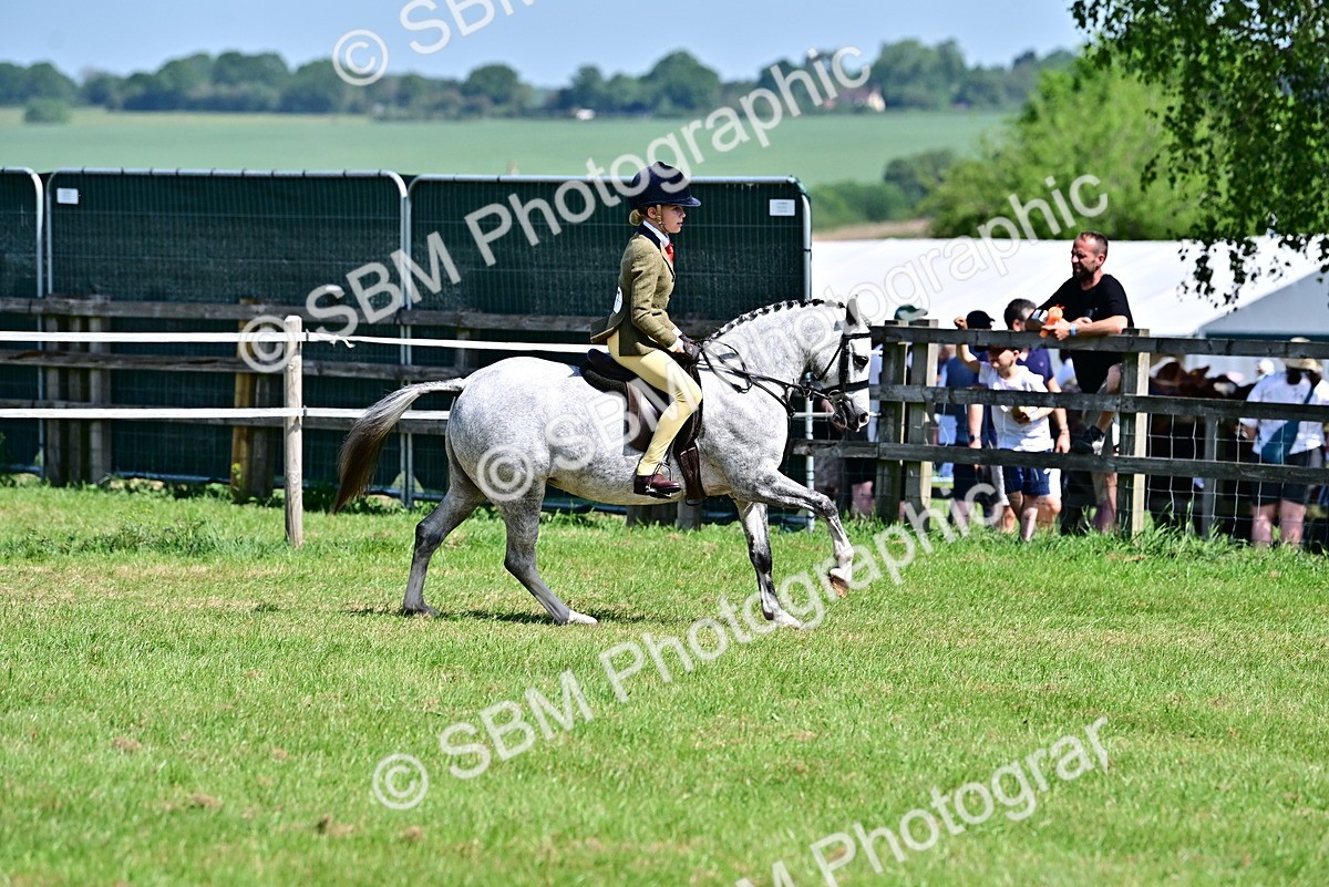 SBM_13886 - Class 95-97 - BSPS LHS Performance Ponies