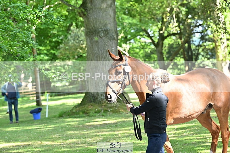 250521A-154411-00724 - B-360-Lucy.K.Wheeler-KING.CREOLE.VD.N.RANCH