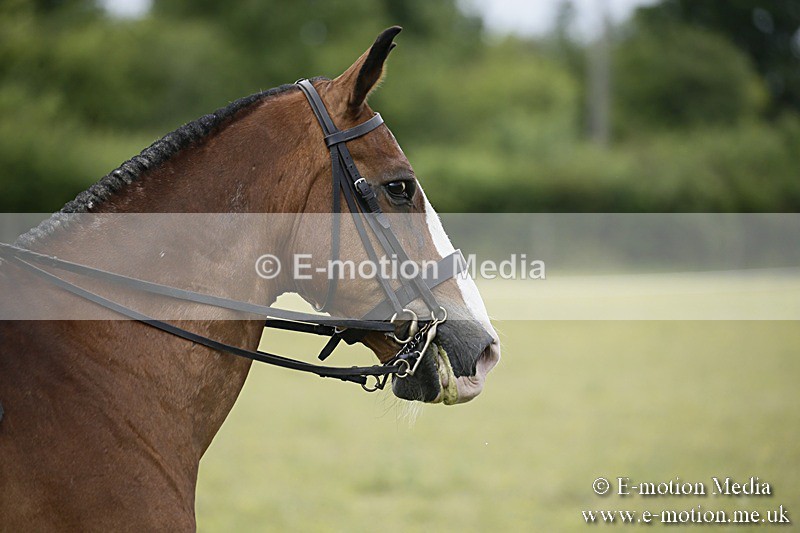 BVR160717-1654 - Side Saddle Classes 16/07/17