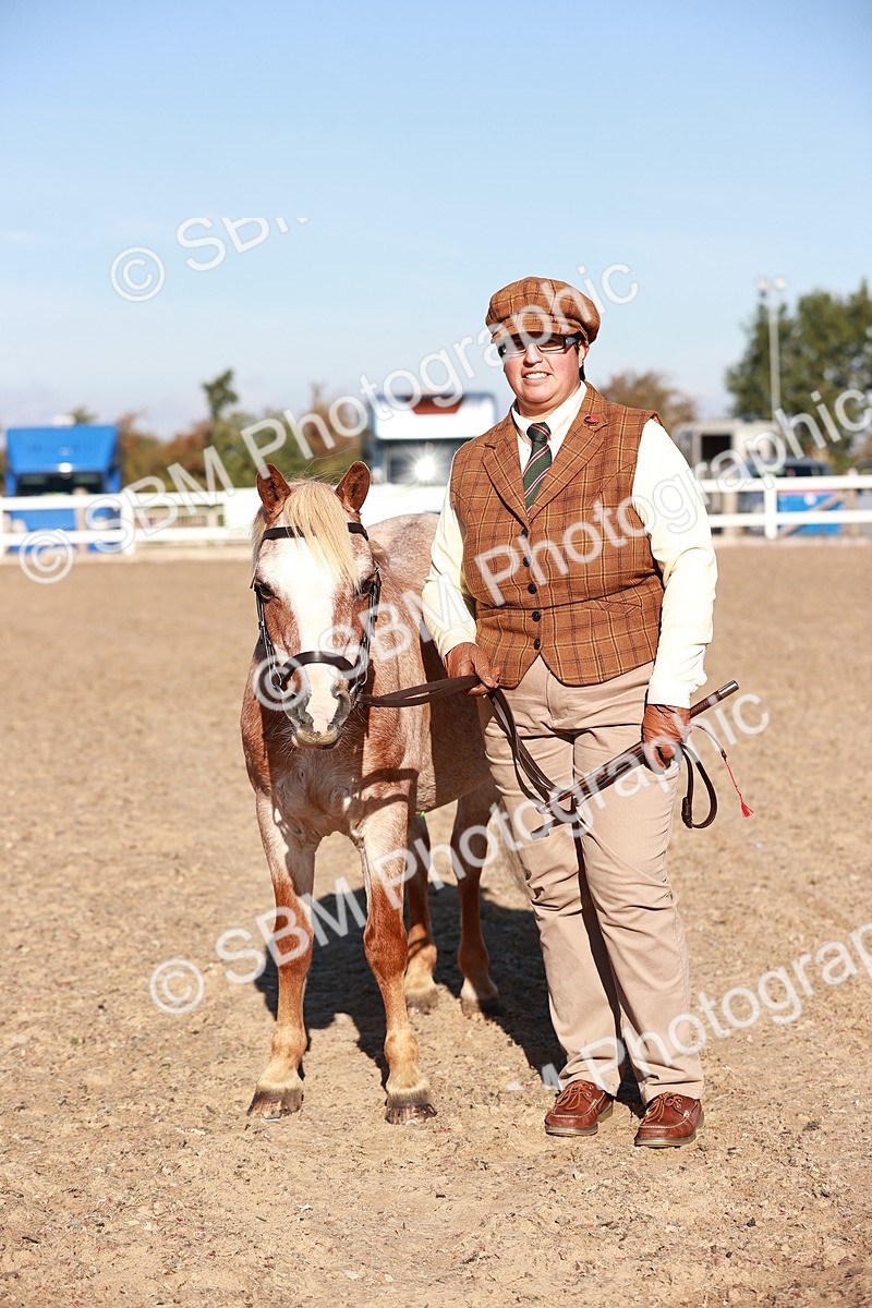 SBM_11471 - Class 402 - IH  Veteran pony