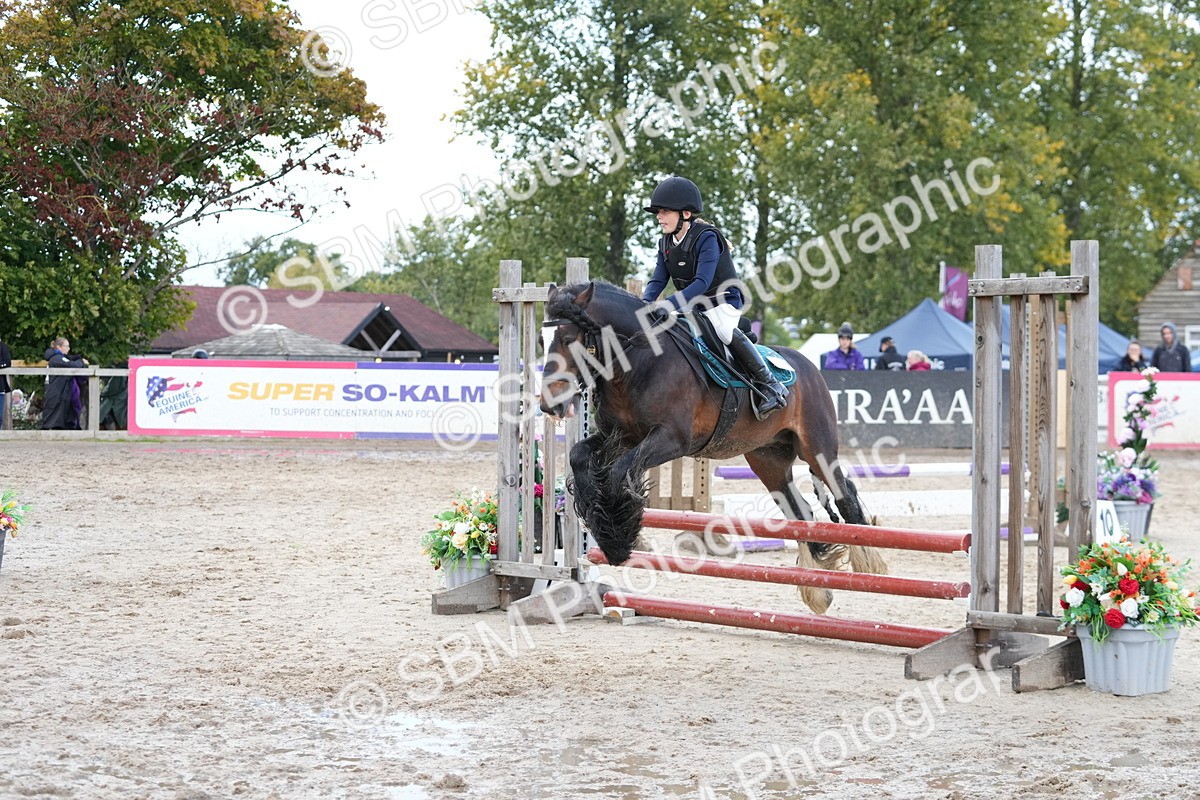 SBM_39642 - J6 - Junior Pony 55cm Championship