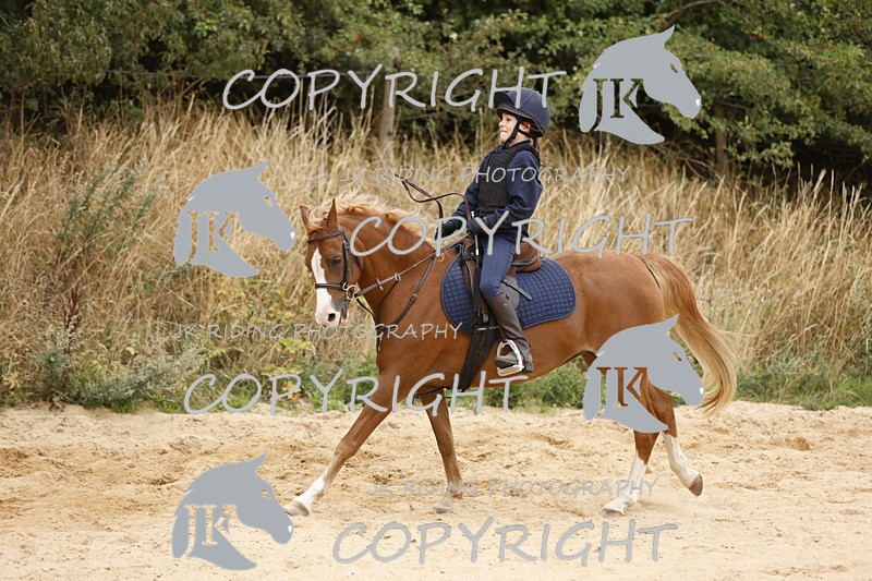 _R6A0987 - Sand arena