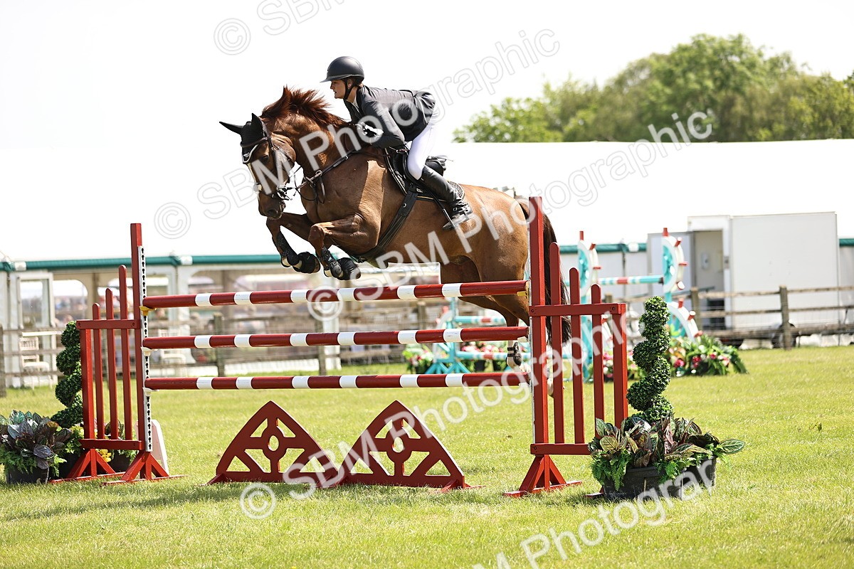 SBM_04010 - Class 201 - British Horse Feedds Speedi Beet HOYS Grade C