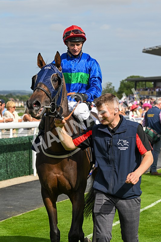 140824-Race 4-Queens Road Revue-6520 - Race 4