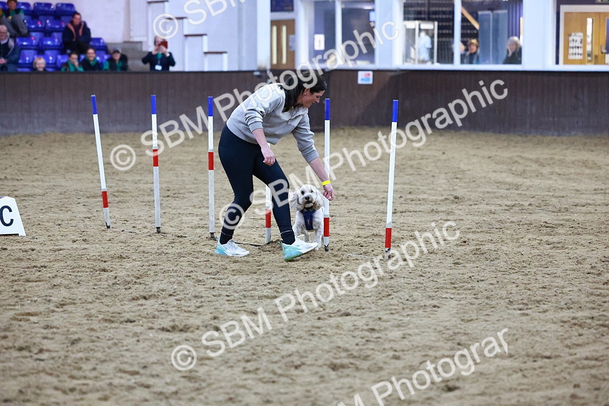 SBM_005920 - Evening Performance