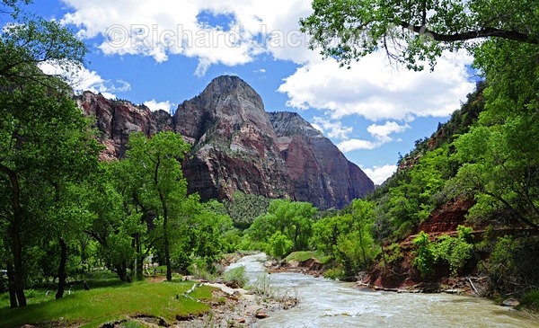 Image #1 - Zion National Pk.- 2011