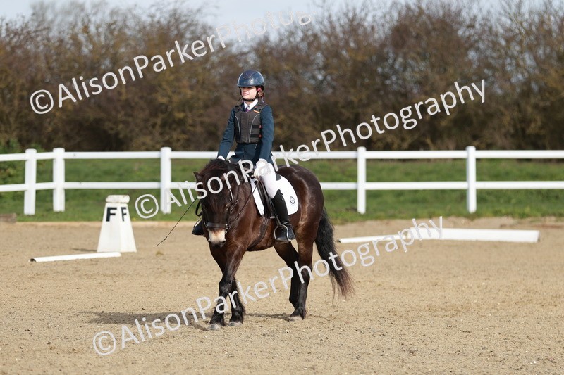 20260314-1081 - DR2 - Intro 3