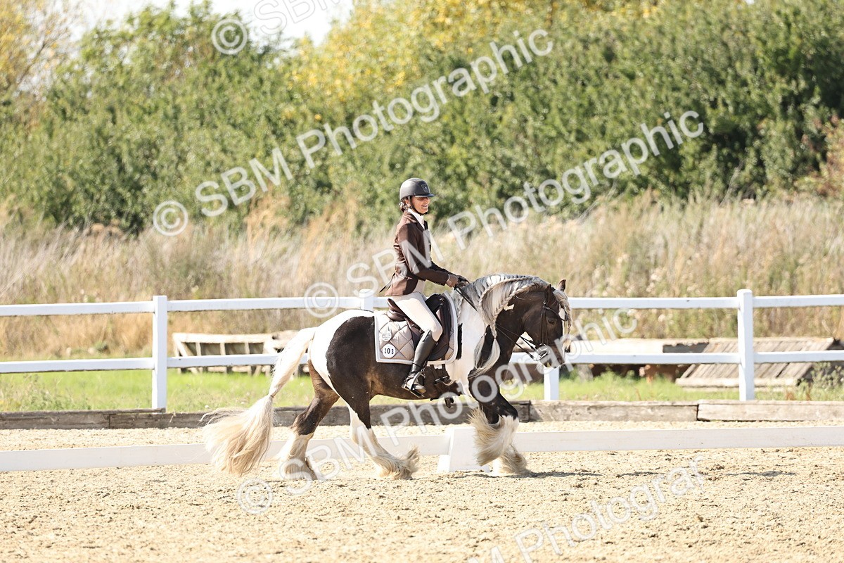 SBM_015285 - Class 9 - Advanced medium 3