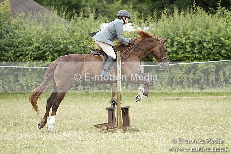 BVR160717-364 - Ring 3 BVRC Show 16/07/17