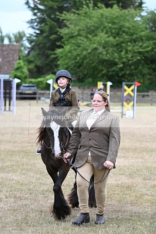 WJ7_8160 - Class 4 Prettiest Mare up to 14.2hh