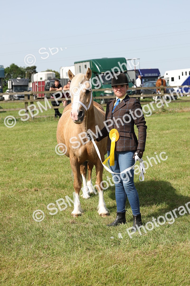 SBM_02163 - Class 6-13 - Mountatin and Moorland In Hand Welsh Breeds