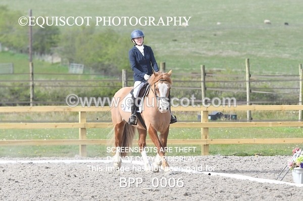 BPP_0006 - MY QUEST NOVICE 2