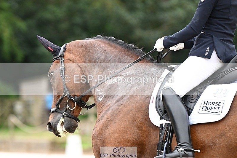 240811-105212-05351 - 213-Bryony.Goodwin-Dion.II