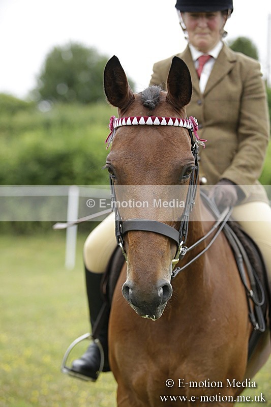 BVR160717-1018 - Ring 1 BVRC Show 16/07/17