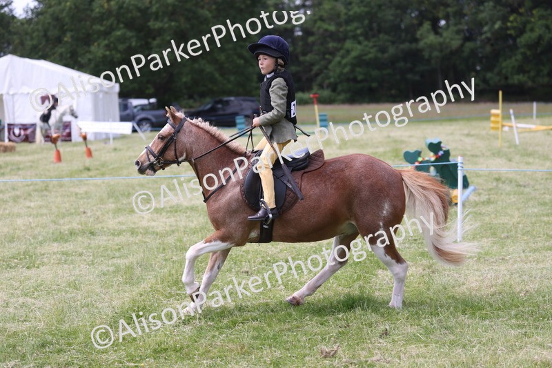 20260614-2050 - Class 21 - Novice Working Hunter Pony