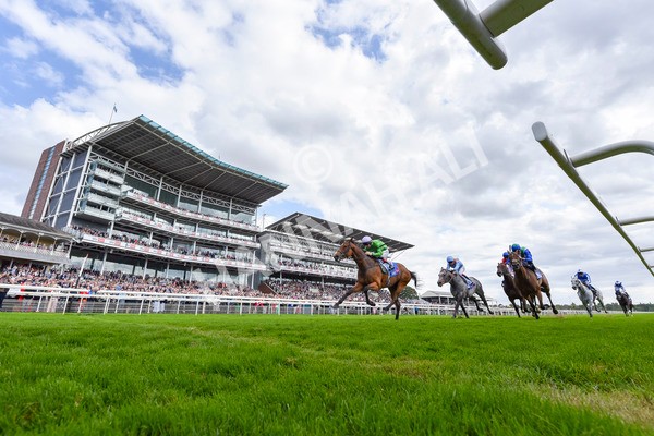 240824-Race 3-Breege-4524 - Race 3 3.00pm Sky Bet City Of York Stakes