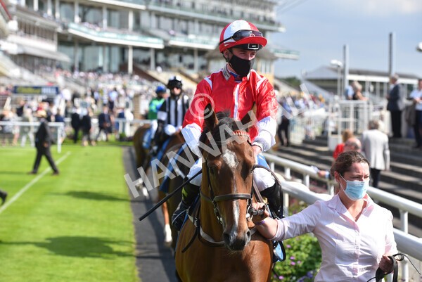 yr09072021r5-31 - Race 5: 4.20pm Garbutt + Elliott Stakes