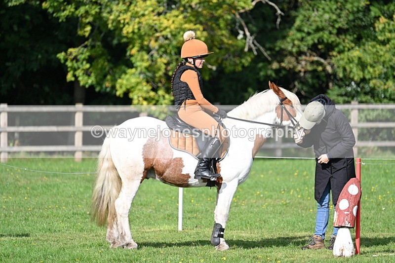 WJ7_3923 - 40cm Time 10:26 to 10:42