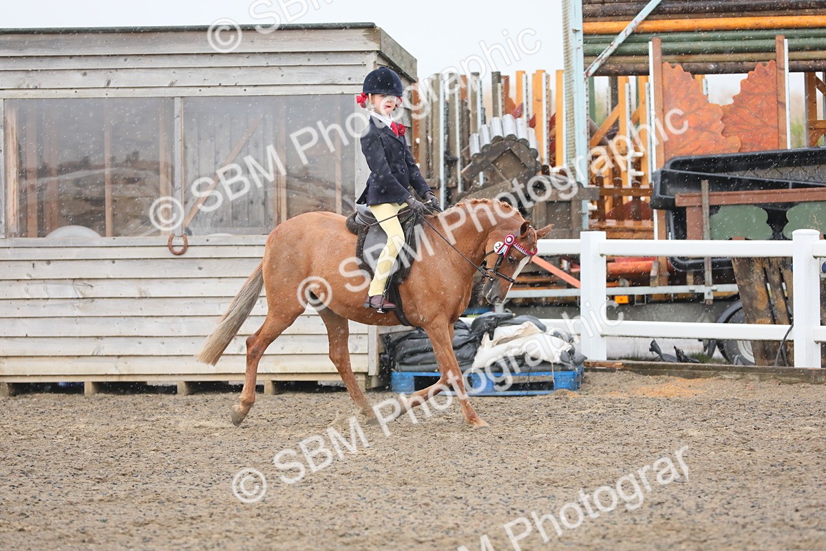 SBM_20553 - Class 804 - Ridden Veteran Pony