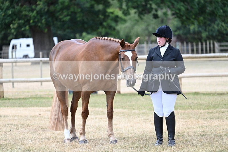 WJ7_1890 - Class 4a Prettiest Mare 14.2hh and over hand