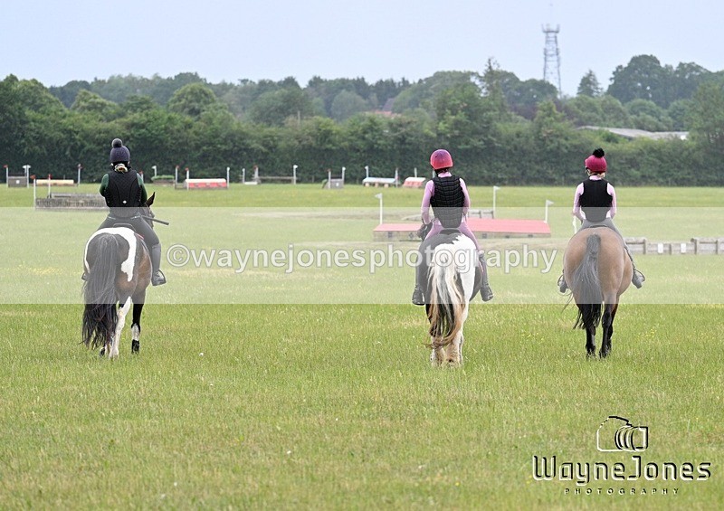 WJ7_8366 - Kellie Jade Ellie XC training with Kelly Harris 28-06-26