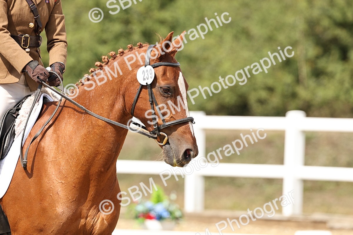 SBM_018792 - Class 16 - Novice 5 - 12.08-13.11