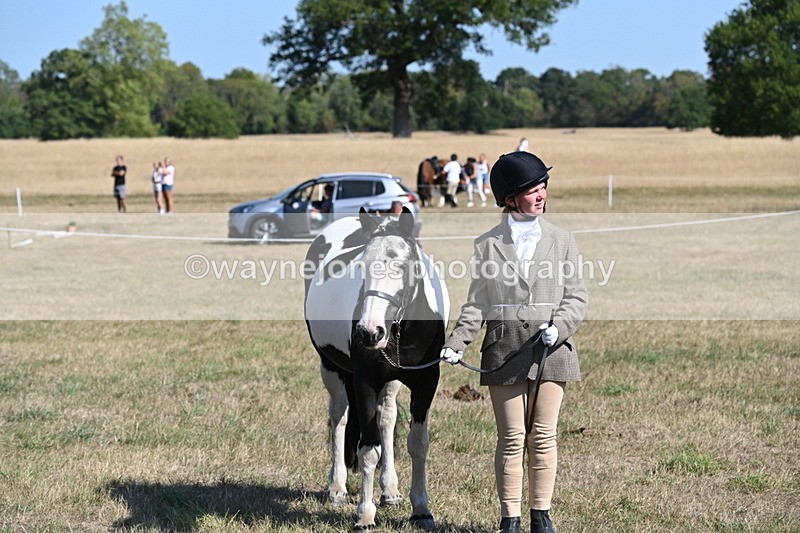 WJ6_7585 - Class 34 Judges Choice