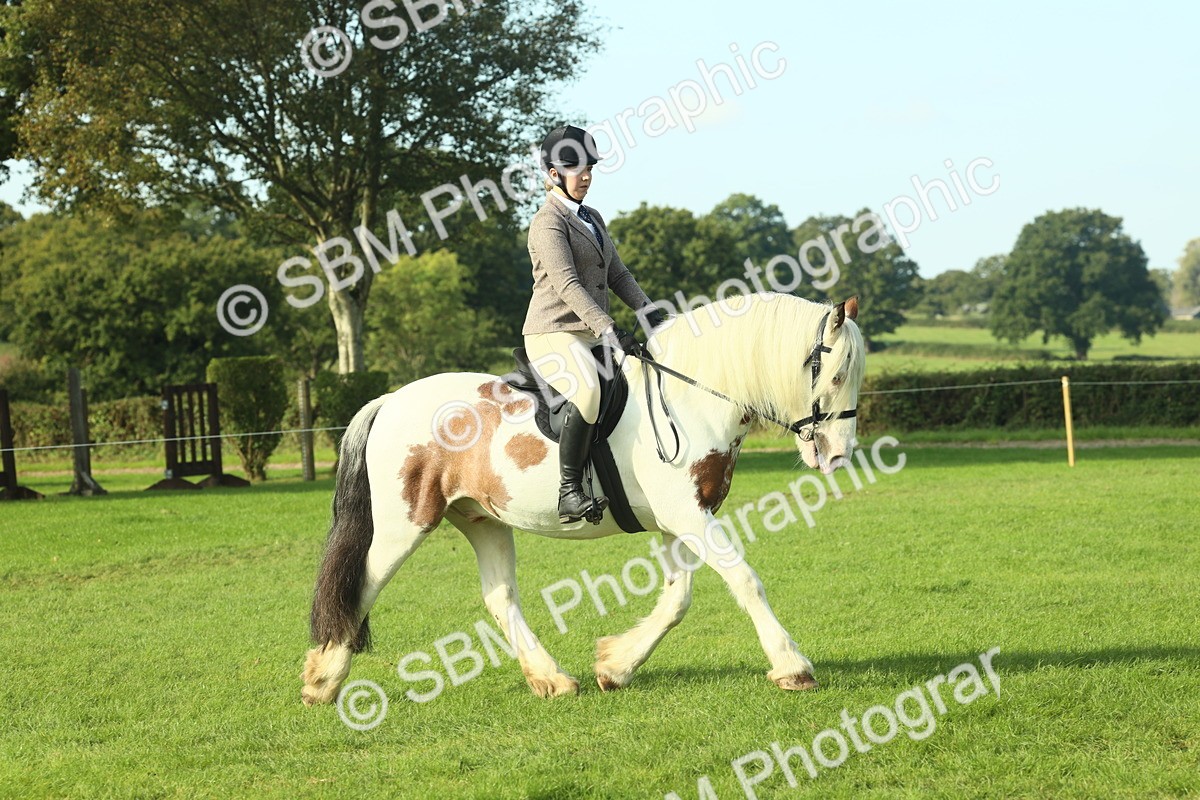 SBM_59845 - S38 - Starters Ridden Showing