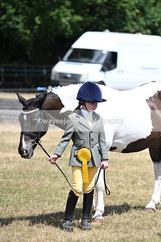 WJ7_2258 - Class 5 Most Handsome Gelding (up to 14.2hh) in hand